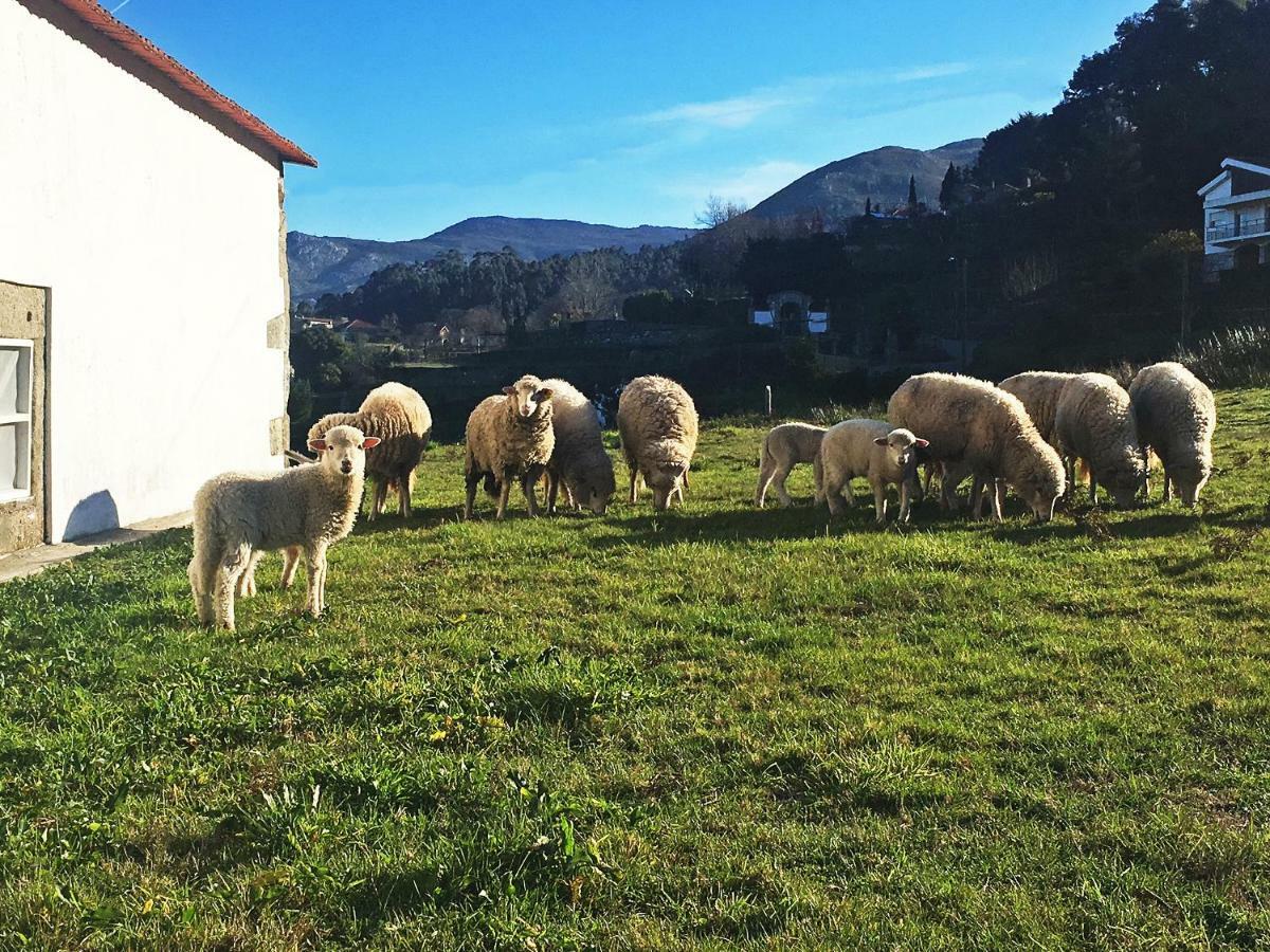 Casas Da Loureira - Casa Do Pote Konuk evi Vila Nova de Cerveira Dış mekan fotoğraf