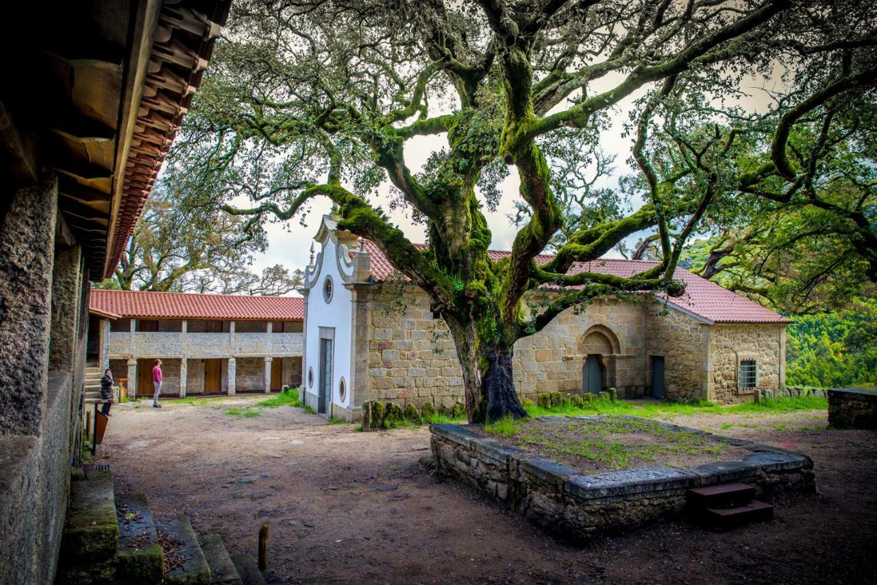 Casas Da Loureira - Casa Do Pote Konuk evi Vila Nova de Cerveira Dış mekan fotoğraf