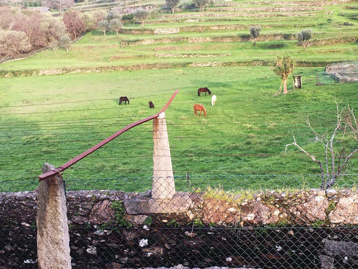 Casas Da Loureira - Casa Do Pote Konuk evi Vila Nova de Cerveira Dış mekan fotoğraf